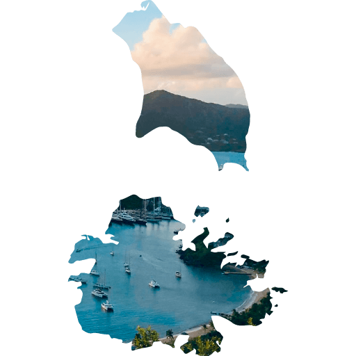 Solicitud en línea eVisa