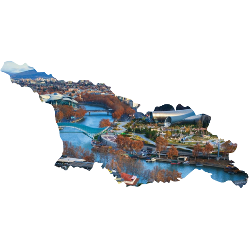 Solicitud en línea eVisa