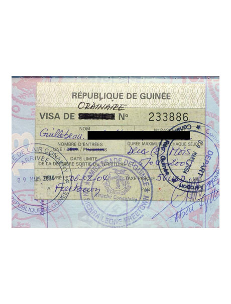 The eVisa for Guinea