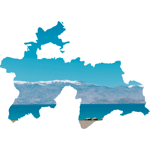 線上電子簽證（eVisa）申請